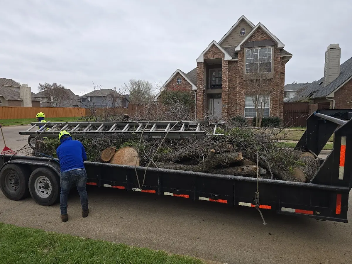 Expert Tree Fertilization with proper safety equipment in Rydal